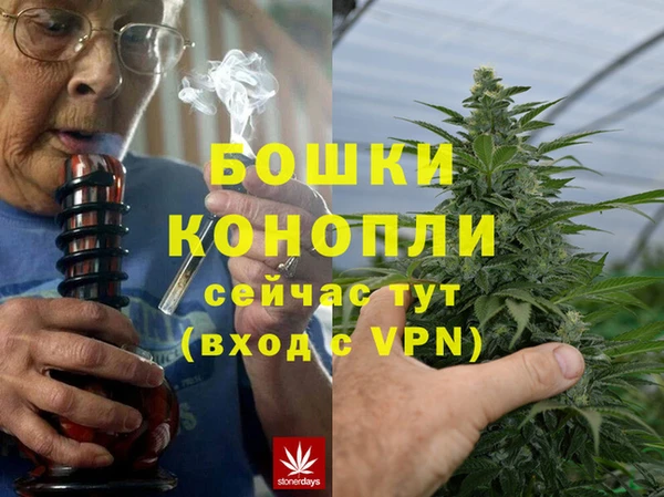 дурь Богданович