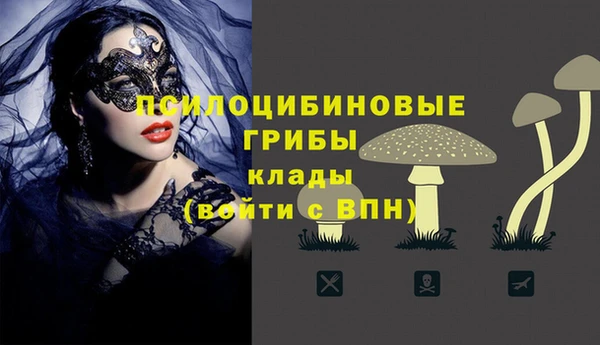 прущая мука Богородицк