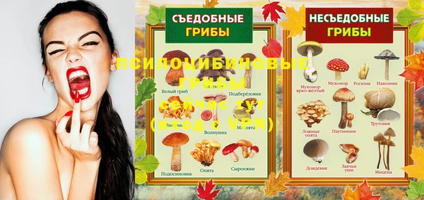прущая мука Богородицк